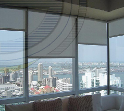 Window Blinds